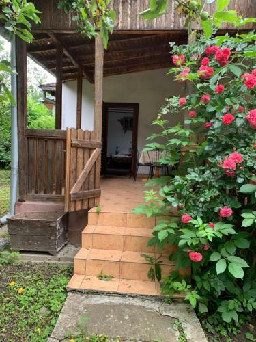 Casa Cu Flori