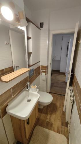 Cozy, Brand-new 1-bedroom Apartment