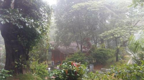 Vamoose Coorg Brookstone