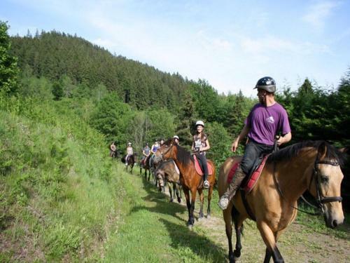 Holiday Home Les Chalets Des Ayes Le Thillot V