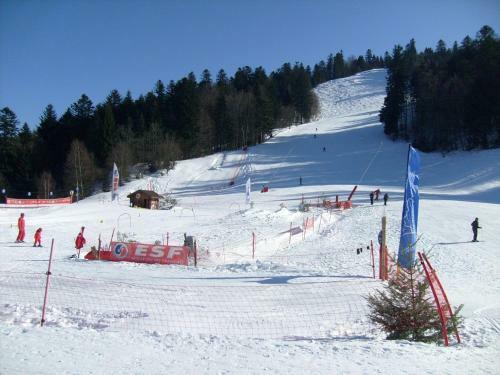 Holiday Home Les Chalets Des Ayes Le Thillot V