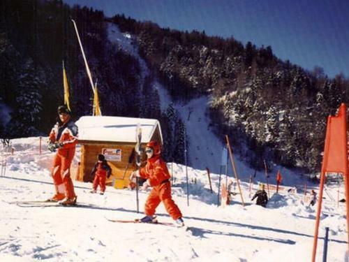 Holiday Home Les Chalets Des Ayes Le Thillot IV