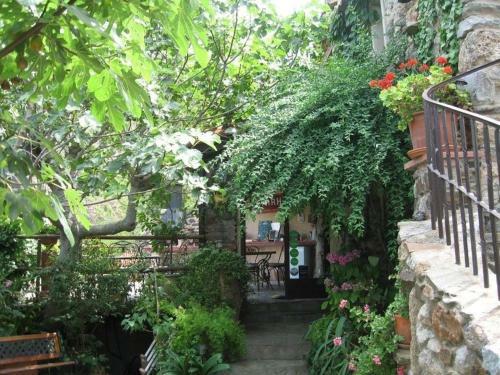 Bed & Breakfast La Figuera