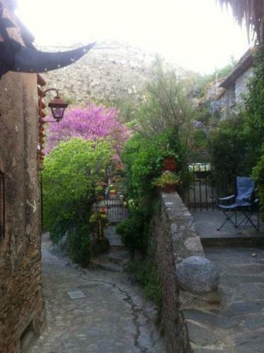 Bed & Breakfast La Figuera