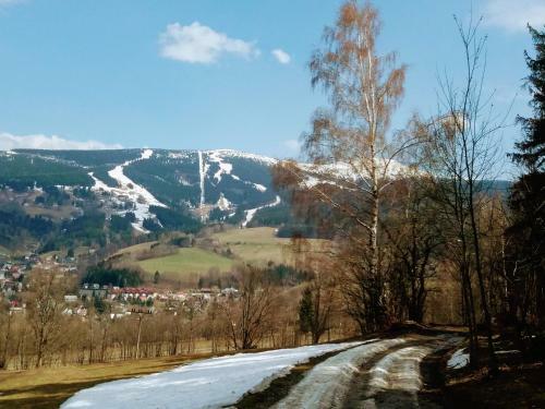 Apartm�n Karol�nka Jih
