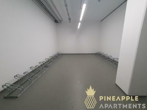 New! Pineapple Apartments Dresden Altstadt I