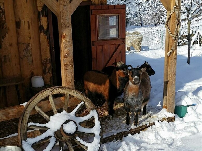 Bed & Breakfast Les Grands Champs