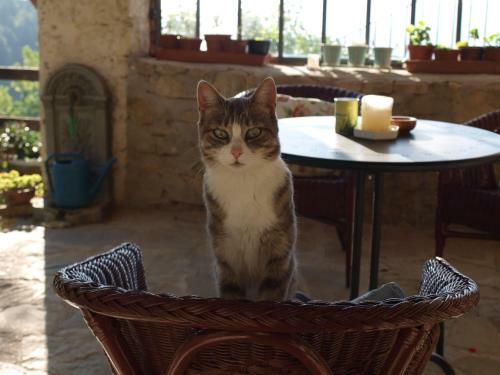 Agroturismo La Collina Degli Scoiattoli