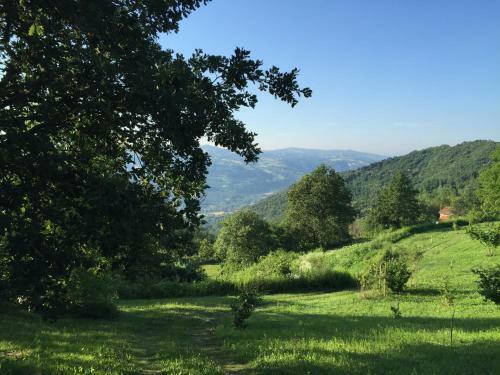 Agroturismo La Collina Degli Scoiattoli
