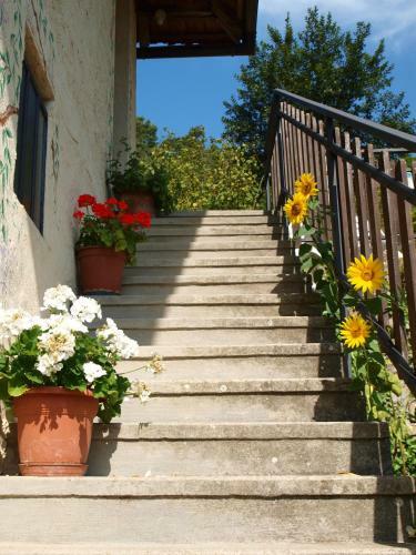 Agroturismo La Collina Degli Scoiattoli