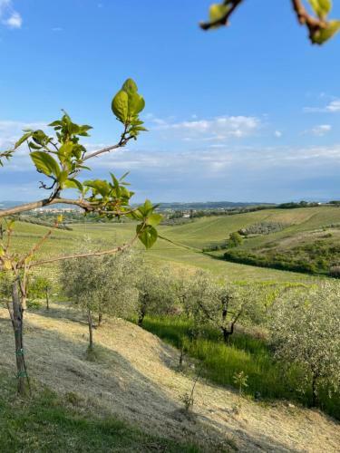 Apartamento Appartamento Girasole