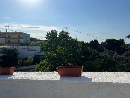 Hostal Villa Del Tiglio