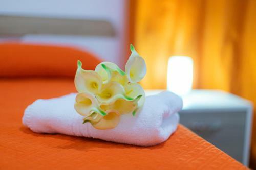 Apartamento Amalia