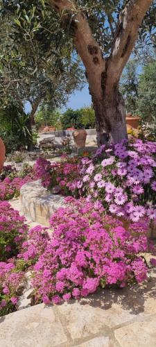 Hostal Villa Antares