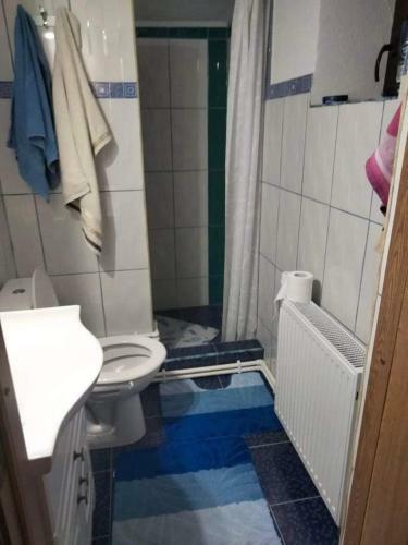 Hostal Casa Elisabeta