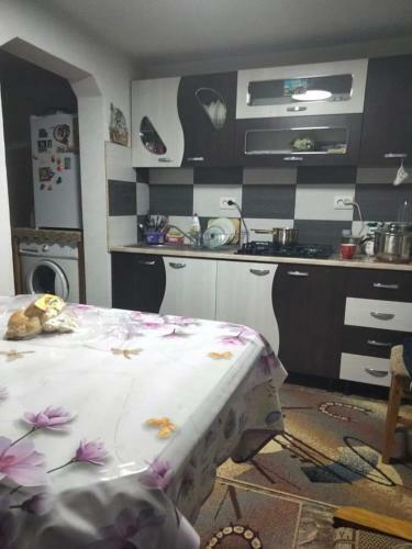 Hostal Casa Elisabeta