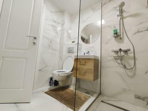 Apartamento Chic Studio T�rgu Jiu