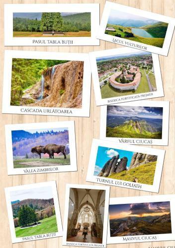 Glamping Iurte Mongole Spiritul Zimbrului