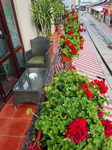 Apartamento Casa Dfg