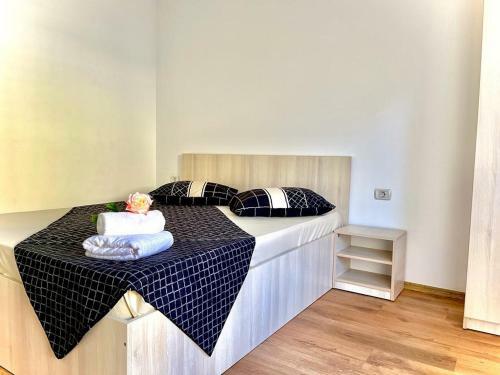 Hostal Pensiunea Scoica