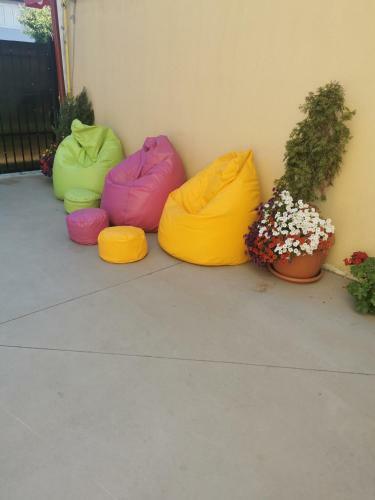 Hostal Pensiunea Scoica