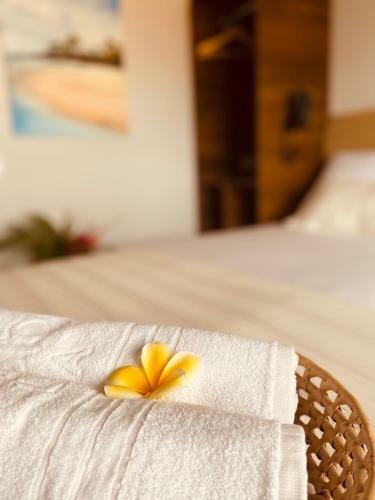 Beach Eco Stays Lagoinha Hotel Boutique