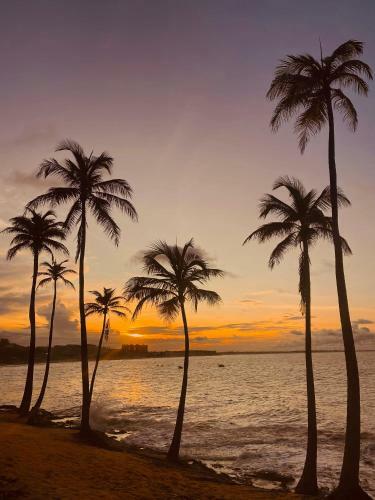 Beach Eco Stays Lagoinha Hotel Boutique