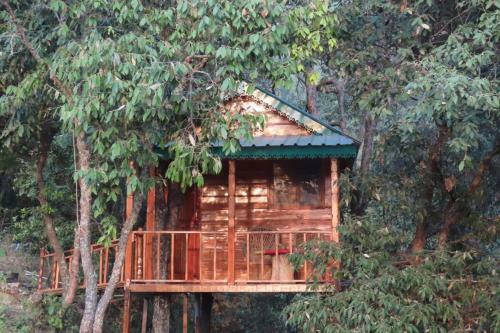 Odyssey Stays Mukteshwar - 300 Metres Trek