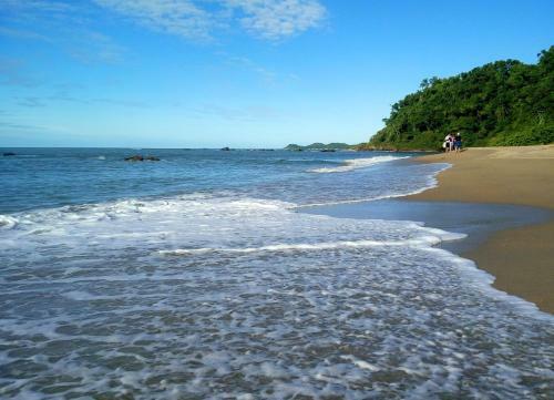 Apartamento Curta Praia Da Arma��o - Casa Tulipa