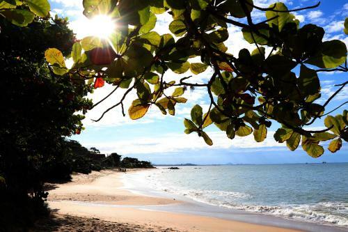 Apartamento Curta Praia Da Arma��o - Casa Tulipa