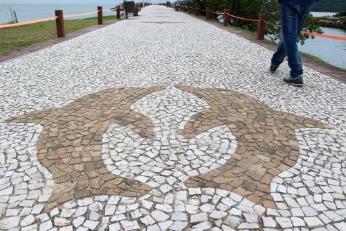Apartamento Curta Praia Da Arma��o - Casa Tulipa