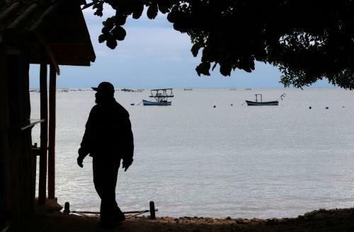 Apartamento Curta Praia Da Arma��o - Casa Tulipa