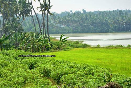 Agroturismo Pvs Farm House-home Stay
