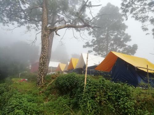 Nainital Nature Camp