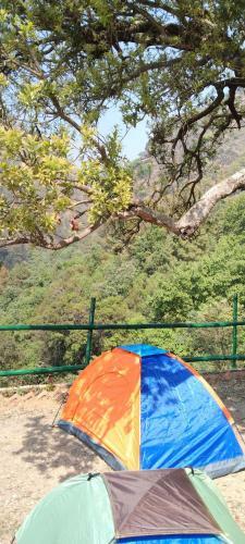 Nainital Nature Camp