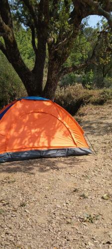 Nainital Nature Camp