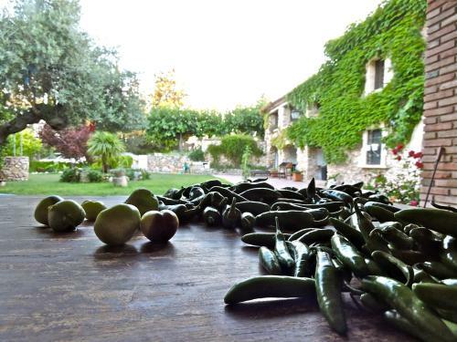 Agroturismo Chilliman & Mas Mir� Biofarm