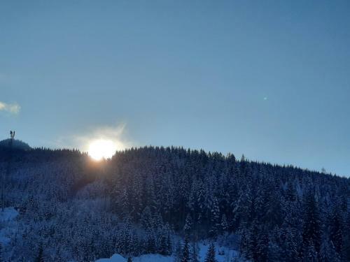 G�stehaus Gamsblick