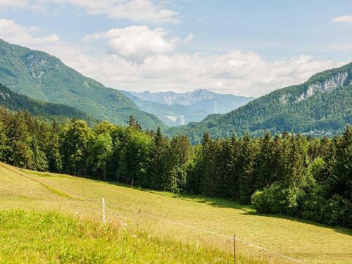 Stellar Apartment In Bad Goisern With Swimming Pool