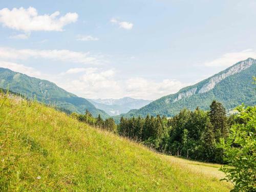 Stellar Apartment In Bad Goisern With Swimming Pool