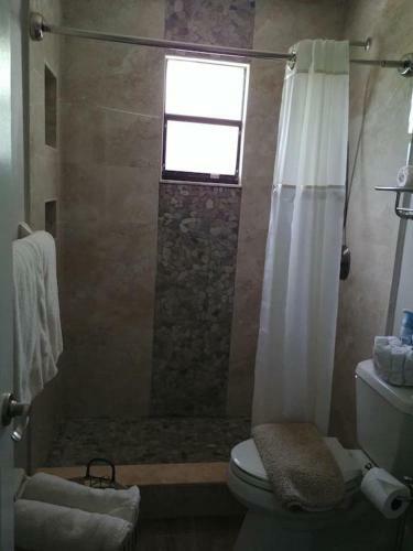 El Palmar Cottage Llc At Indian Rocks Beach Florida