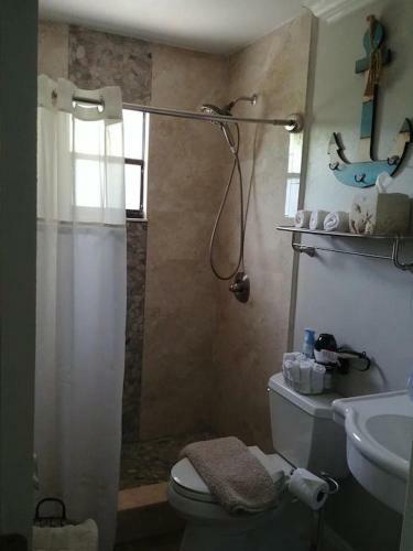 El Palmar Cottage Llc At Indian Rocks Beach Florida