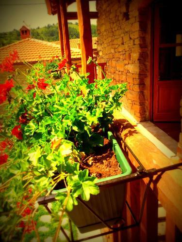 Apartamento Navilla