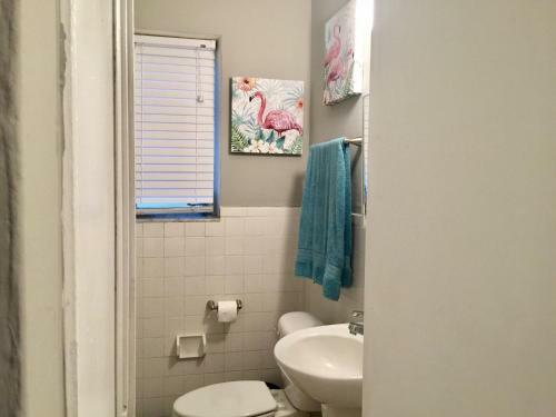 Apartamento Miami Apt 1br Free Parking And Wifi