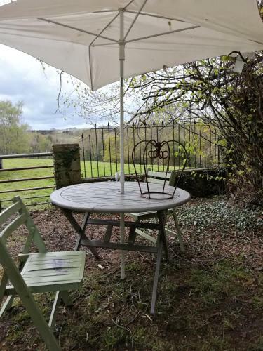 Hostal Durham Donkey Rescue Shepherds Hut