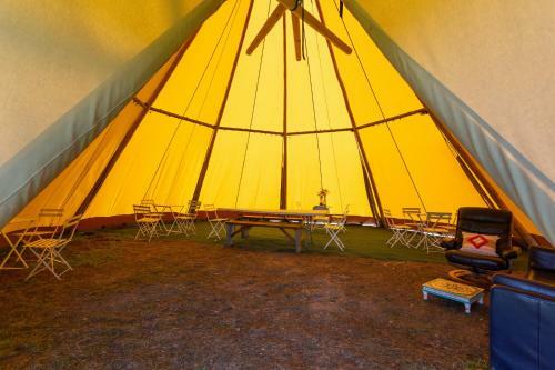 Blissful Bell Tent - Violet
