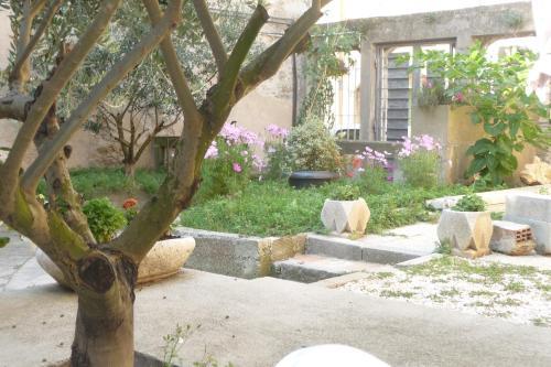 Le Patio Cathare