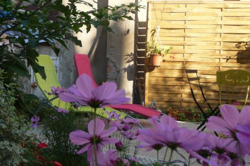 Le Patio Cathare