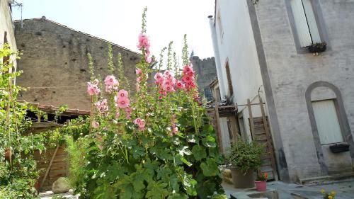 Le Patio Cathare