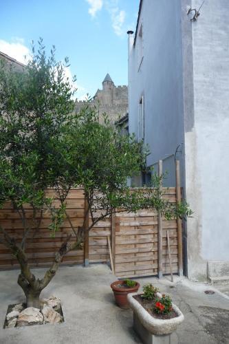 Le Patio Cathare